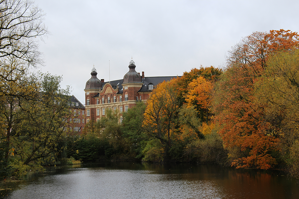 COPENHAGUE 11